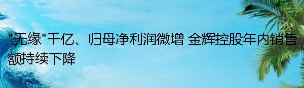 “無緣”千億、歸母凈利潤微增 金輝控股年內銷售額持續下降